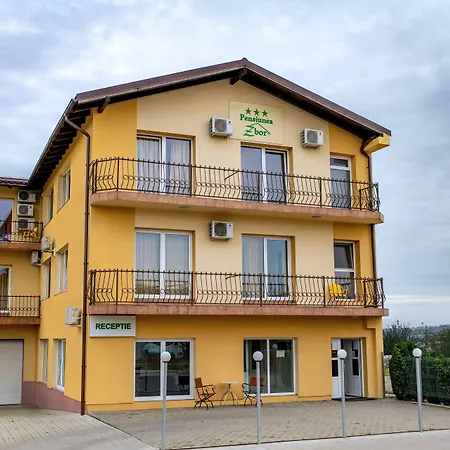 Pensiunea Zbor-2